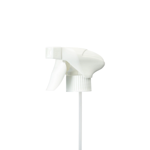 Adobe Express   file (11)